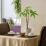 Anglade Hotell 3*