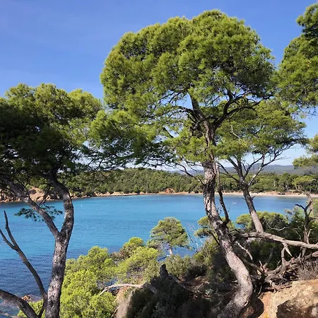 Anglade Le Lavandou
